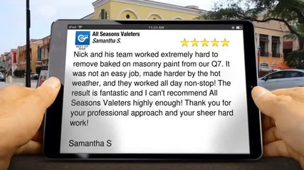 Car Detailing London Terrific Five Star Review by Samantha S