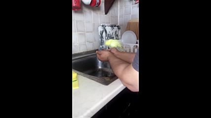 Кокошко се къпе
