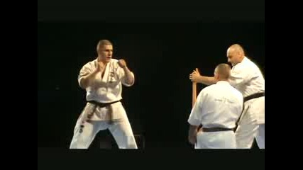 EC2008-Demonstration-Sensei Nikolov