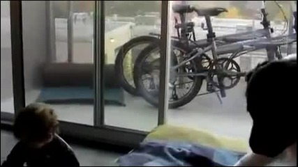 Бебе и куче