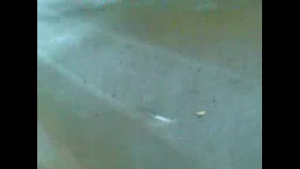 Страшна катастрофа