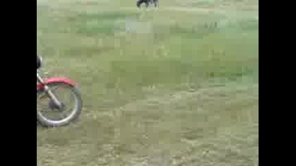 Луд С Симсон