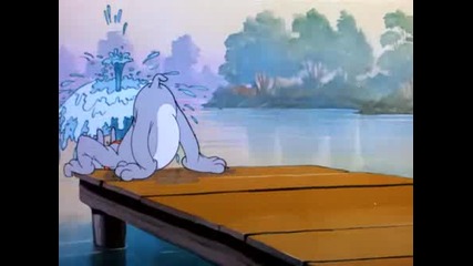 Tom & Jerry - Cat Fishin