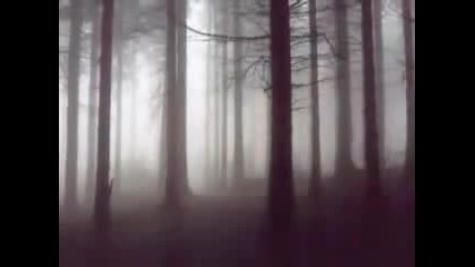 The Cry of the Forest (инструментал )