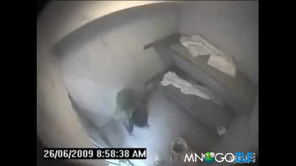 Затворник се гмурка в тоалетна. 