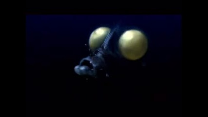 Bbc Blue Planet еп 2 : В бездната част 1 