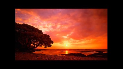 Sunsets 
