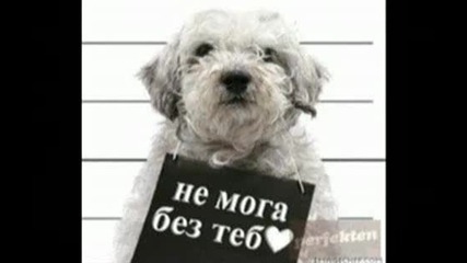 Ако Само Ти . 