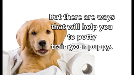 Potty Training An Endurable Task if Done With the Right Strategy