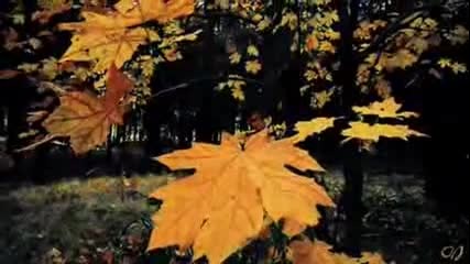 Ernesto Cortazar - Leaves in The Wind