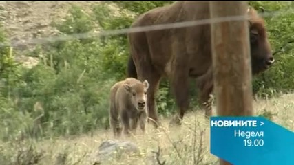 В централната емисия на Новините на Нова за 28 юни очаквайте