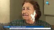 Прибраха в приют агресивните питбули в Казанлък