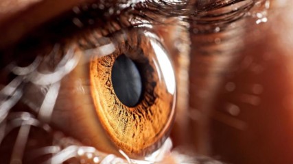 30 Невероятни факта за очите