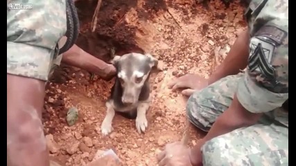 Хора Спасяват затрупано куче от Свлачище