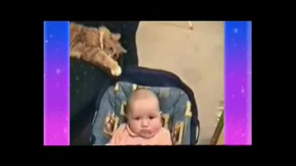 Много Смешно Клипче С Животни