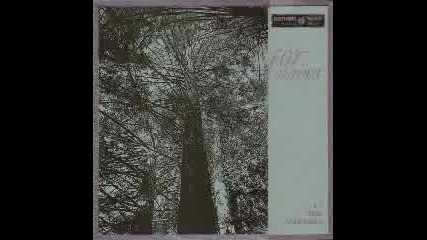 For Against - Amen ives