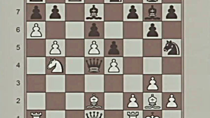 Polgar Susan - Dvd 2 - Learn How to Create a Plan in the Opening Middle Endgame - part 3