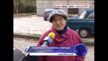 Котка на Дърво 4 дни в Ямбол Необичайна спасителна Акция проведе екип на Гражданска защита 