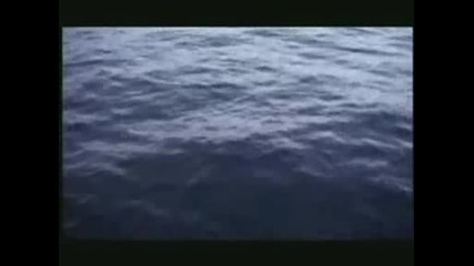 Dance of The Moon and Stars - John Adorney