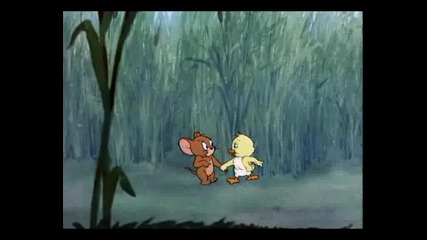 Tom And Jerry - Little Quacker (1950)