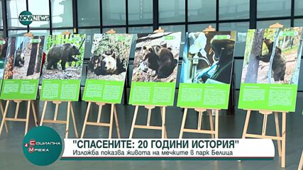 „Спасените: 20 години история” - изложба показва пътя на мечките до парк „Белица”