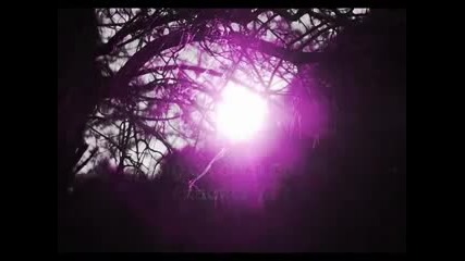 Sinan Sakic - Sunce Moje - превод