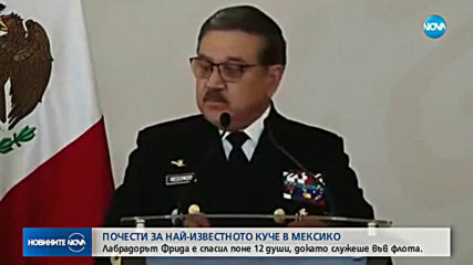 Пенсионира се най-известното куче в Мексико