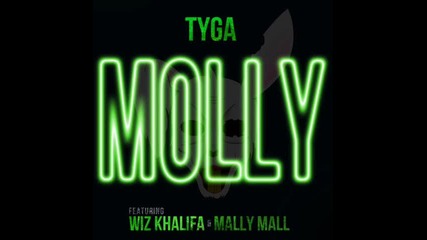 tyga ft. wiz khalifa & mally mall - molly Dj Alexander