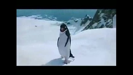 The Funny Penguin Fighet Song