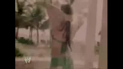 Wwe Divas sexy