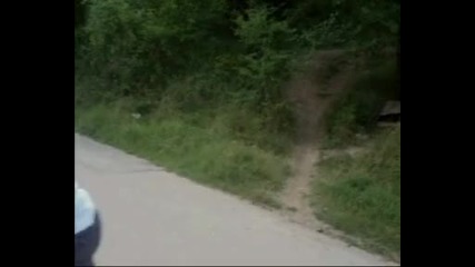 Downhill / Трапец - сипица / Трасе Троян