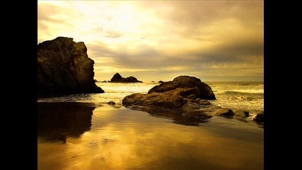 Shade - Shallows