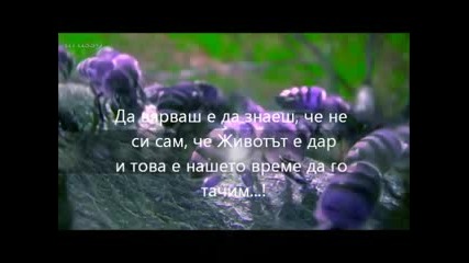 Животът