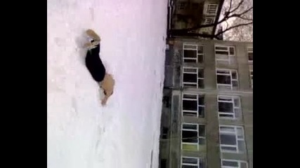 Тъпак плува в сняг 1