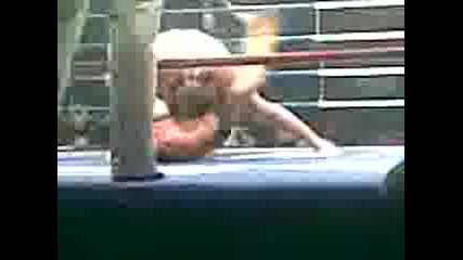 Gala Boksova Ve4er 3