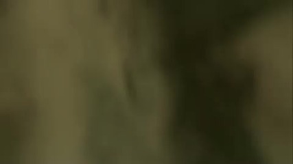 N1k1t1ch kzse bhopblock sc