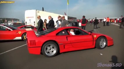 Ferrari Enzo and Ferrari F40