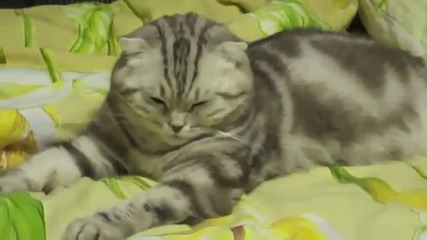 Стига работа !! Дайте почивка :d