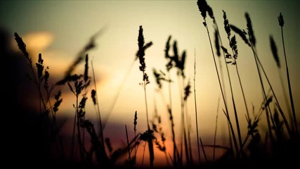Markus Schulz & Max Graham - Goodbye (dns Project Remix Edit)