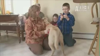 Last Chance Highway - Forever Home - Anna Belle [animal planet]