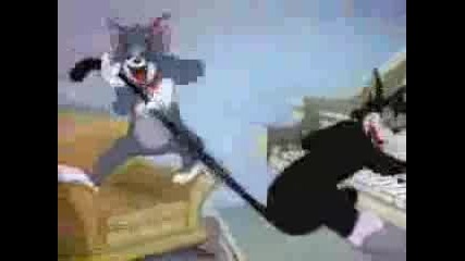 Tom And Jerry
