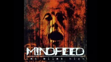 Mindfeed - I Bleed 