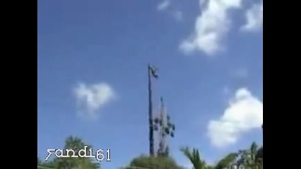 Глупав дървосекач замалко да се убие