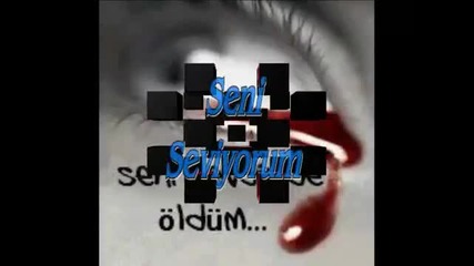 Seni Seviyorum