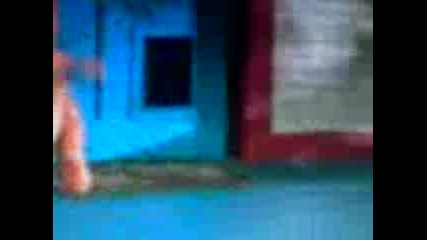Гарфилд - Пародия