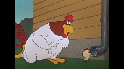 A Broken Leghorn Lt