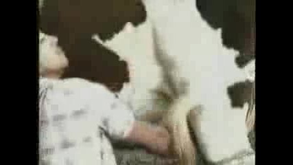 не мила не правя секс