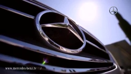 Mercedes Benz 2011 Viano Pearl