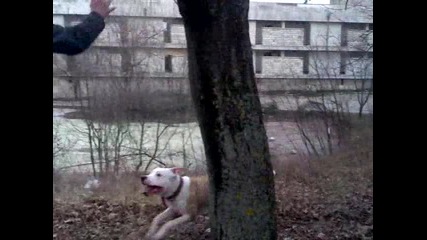 Ares 2 sin na drevniq voin Veho!