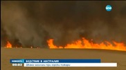Двама души загинаха при огромен горски пожар в Австралия